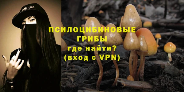 а пвп мука Баксан